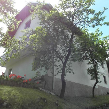 Pr' Hribar Lägenhet Zgornje Gorje Exteriör bild