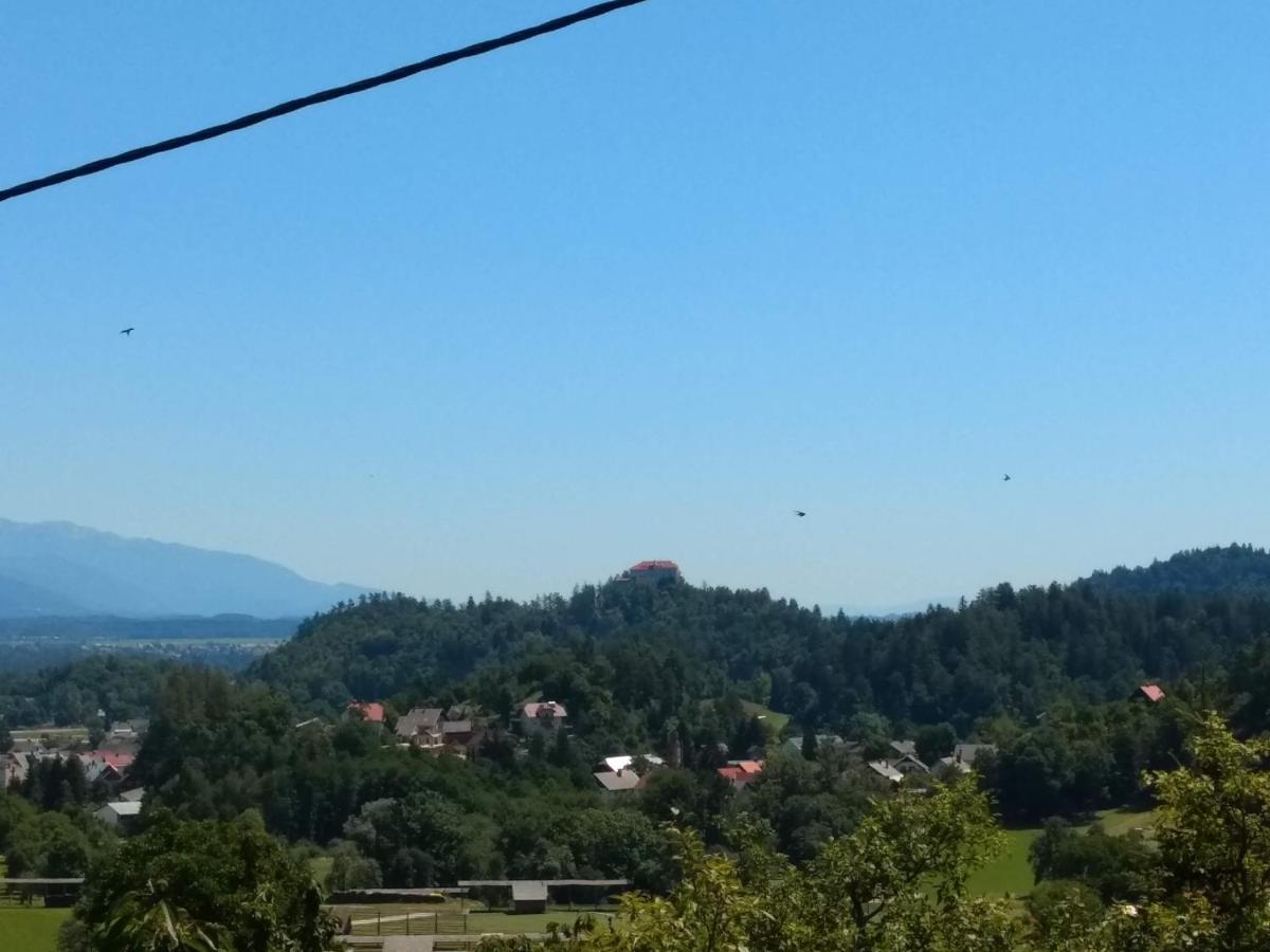 Pr' Hribar Lägenhet Zgornje Gorje Exteriör bild