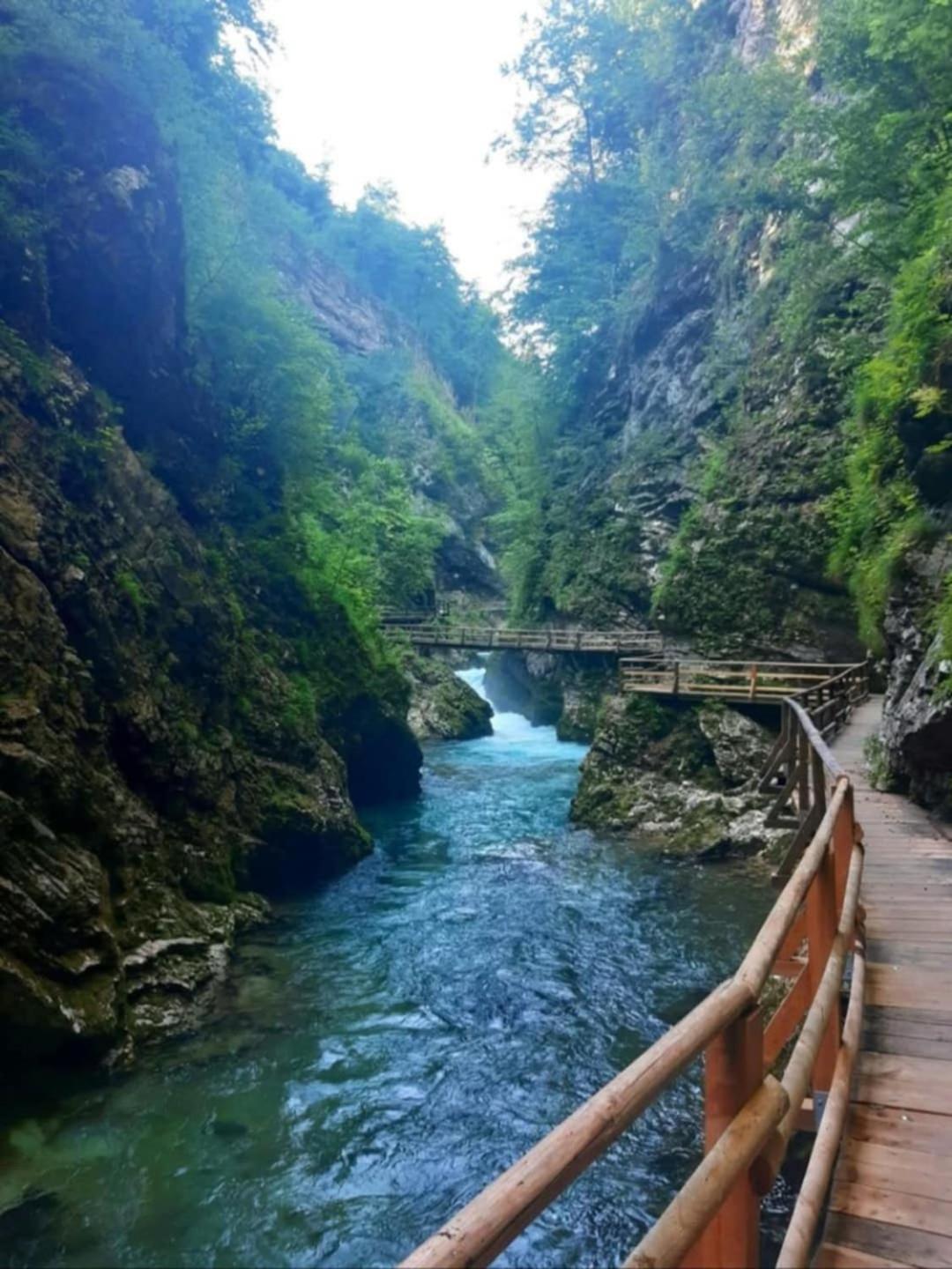 Pr' Hribar Lägenhet Zgornje Gorje Exteriör bild
