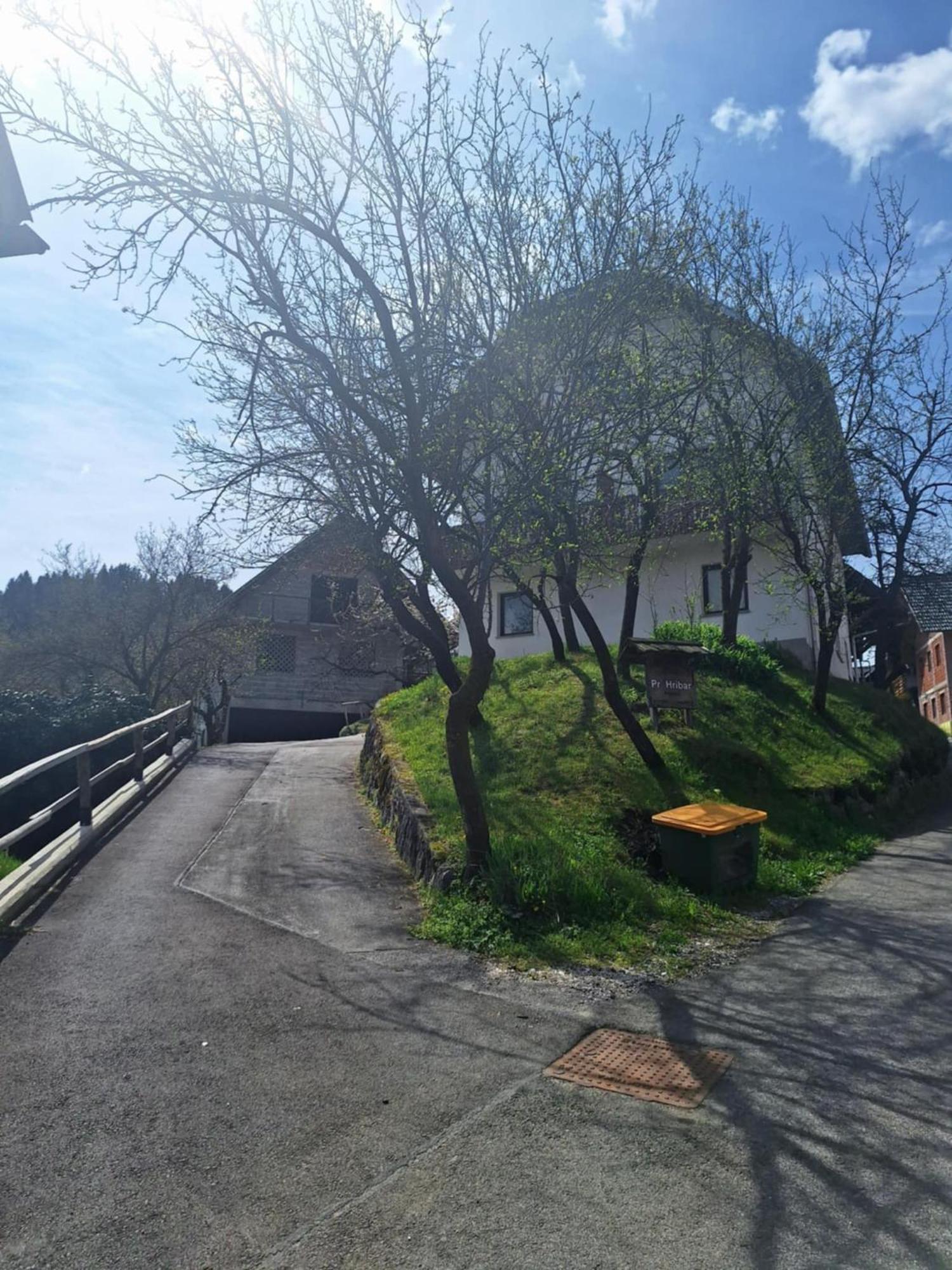 Pr' Hribar Lägenhet Zgornje Gorje Exteriör bild