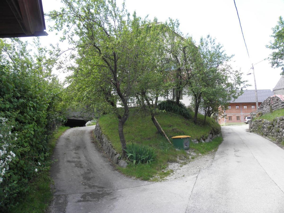 Pr' Hribar Lägenhet Zgornje Gorje Exteriör bild