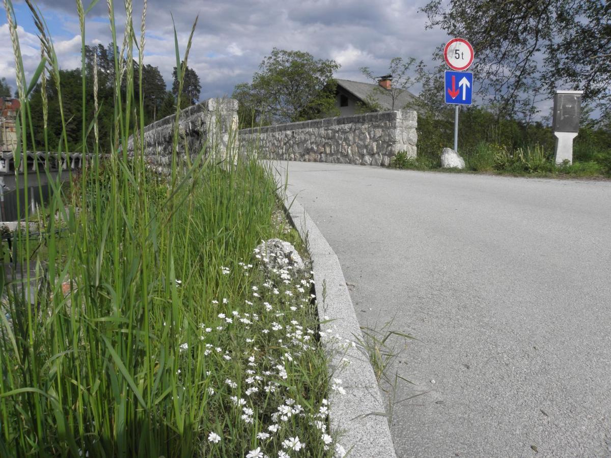 Pr' Hribar Lägenhet Zgornje Gorje Exteriör bild